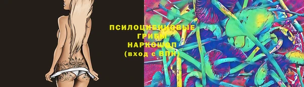 стафф Абаза