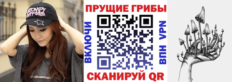 Псилоцибиновые грибы Psilocybe  ОМГ ОМГ tor  Спас-Клепики 